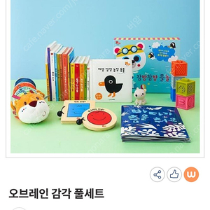 웅진 오브레인 감각풀세트