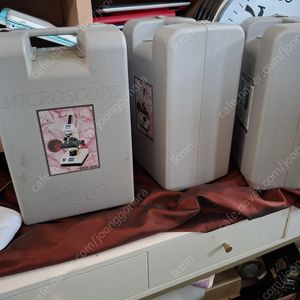현미경
