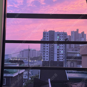추천인X 여러개 삽니다. 누구나 가능