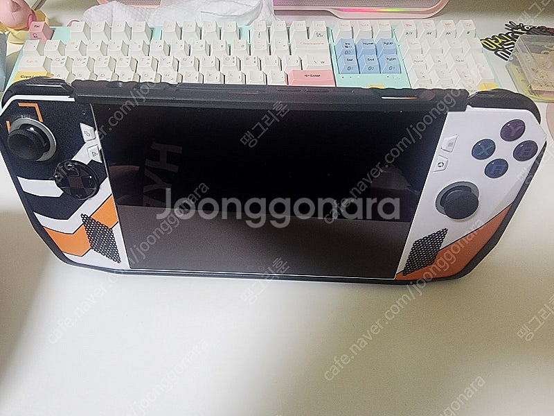 umpc 로갈리 rogally 1tb+대용량배터리 교체--1