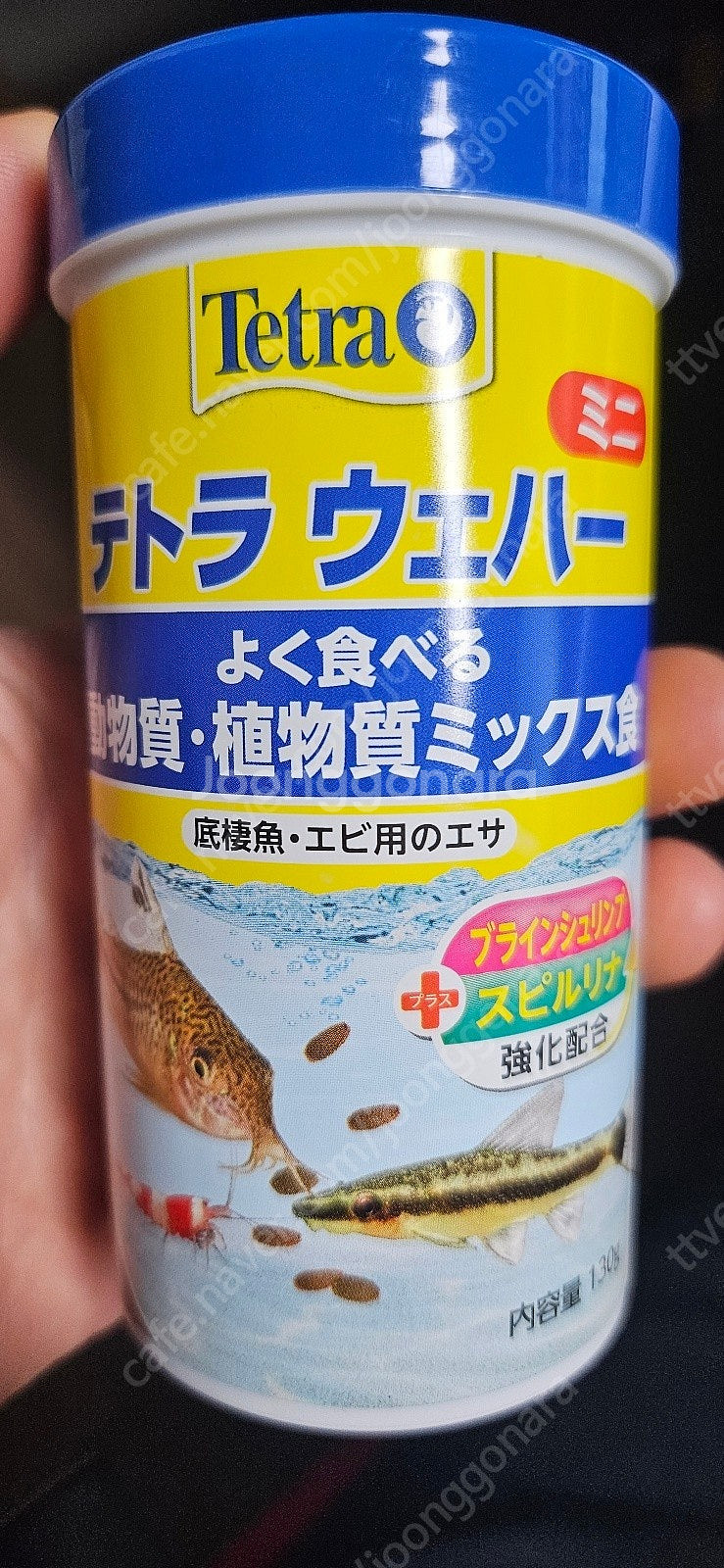 테트라 웨이퍼 미니믹스 새상품 열대어 코리 새우 안시사...--0