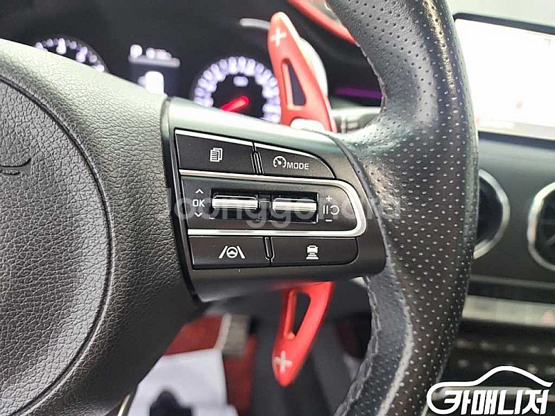 스팅어 마이스터 2WD 2.5 마스터즈 2021 년 중...--8