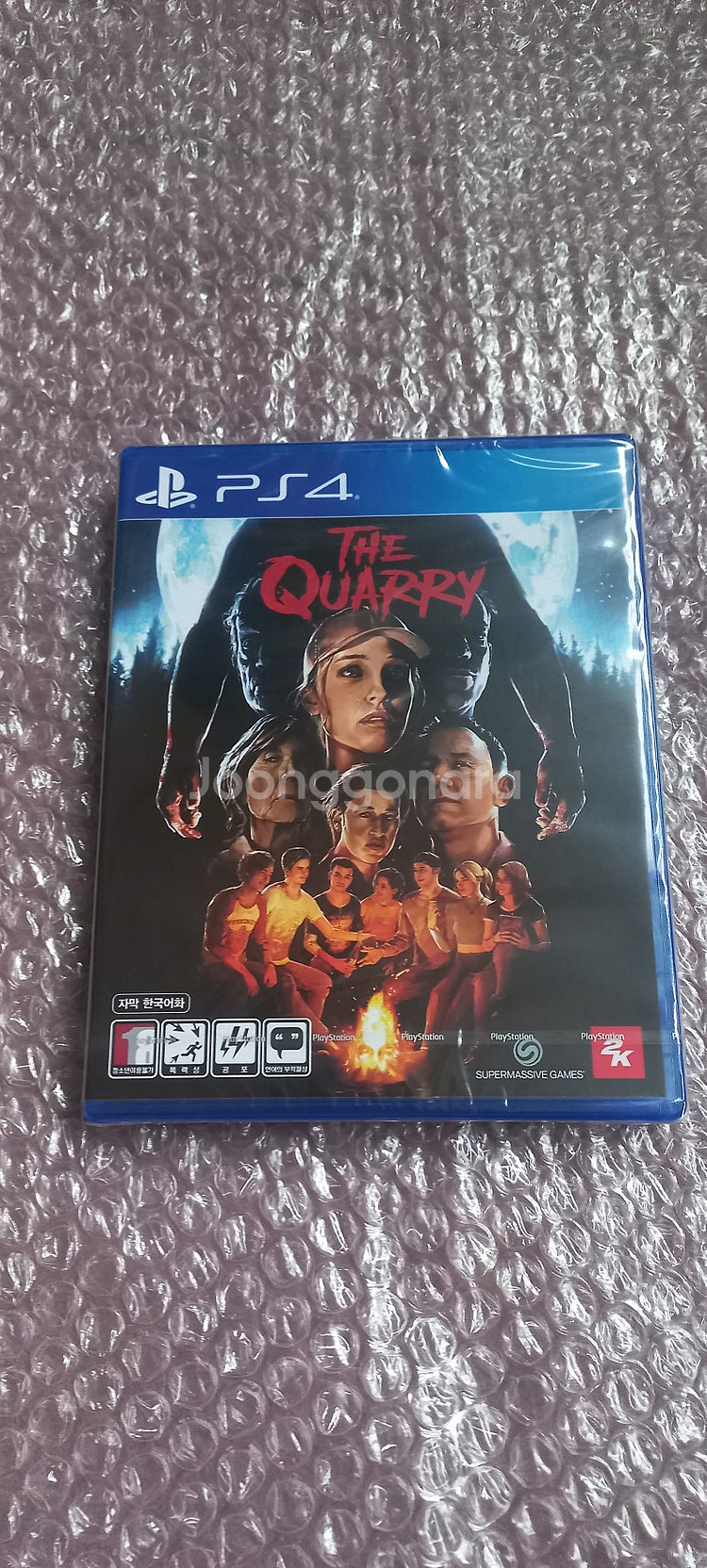 플스4 PS4 (초회판 미개봉) 더 쿼리 스탠다드 에디...--0