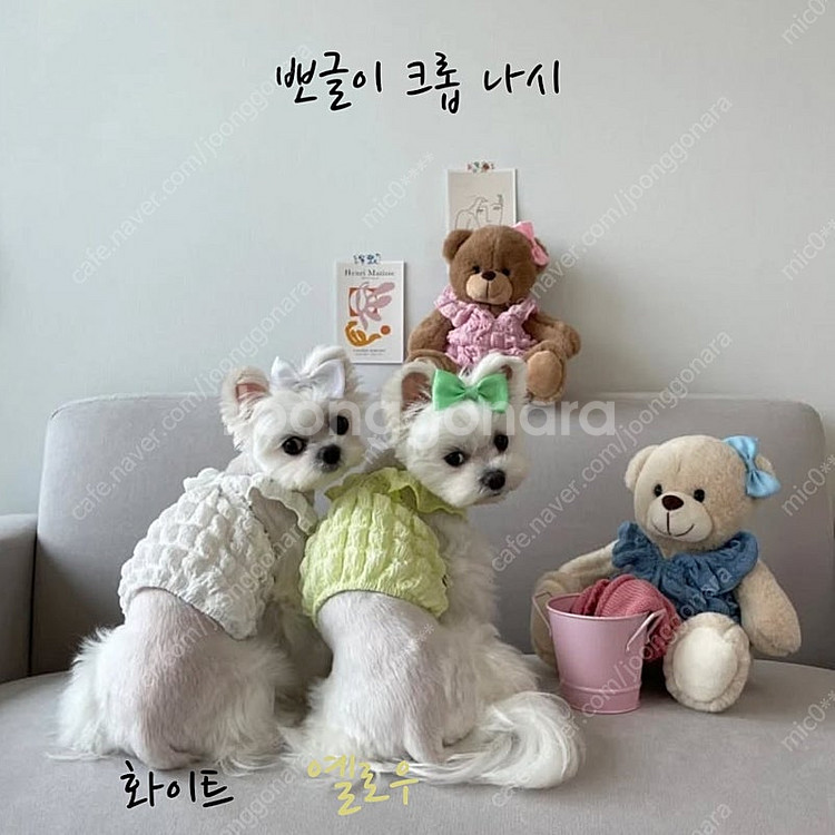 한정수량! 여름 강아지 옷 원가로 데려가세요--8