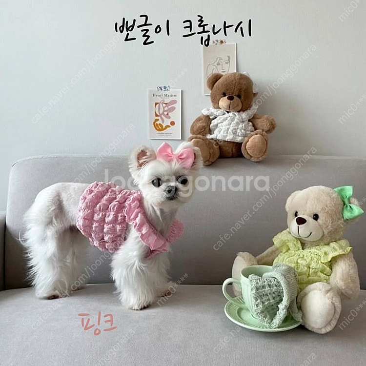 한정수량! 여름 강아지 옷 원가로 데려가세요--9