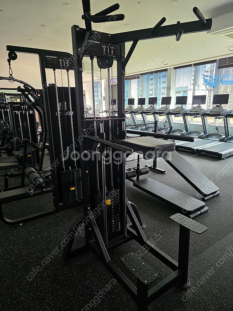 친딥어시스트 / 토루소 / 핵스쿼트 / 브이스쿼트 / ...--0