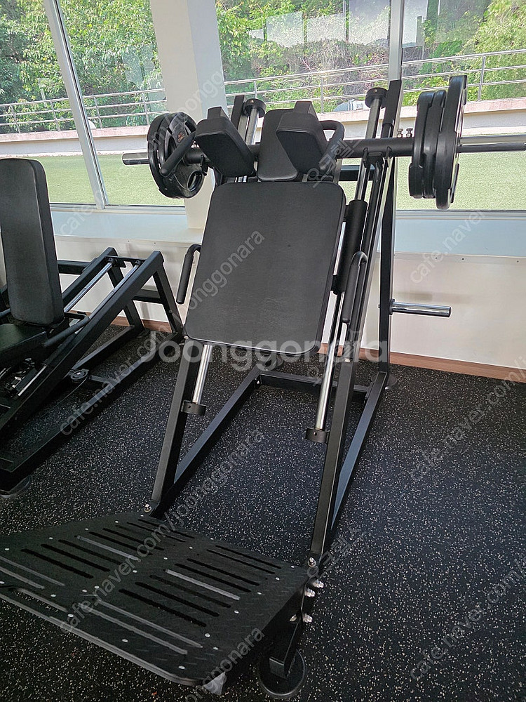 친딥어시스트 / 토루소 / 핵스쿼트 / 브이스쿼트 / ...--2