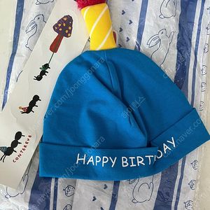 꽁떼레베 생일비니