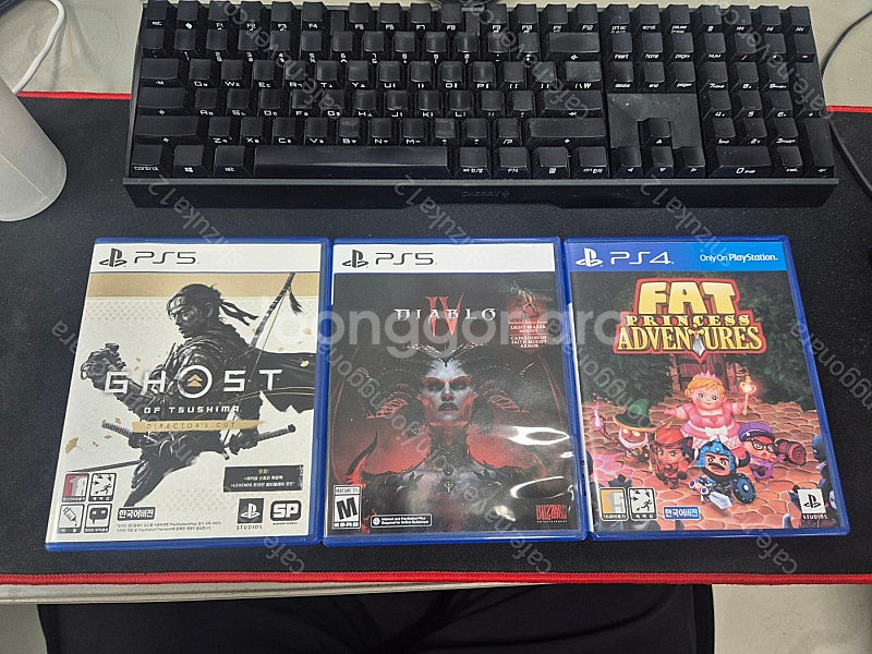 [PS5]디아블로4[코드미사용], 팻프린세스 판매--0