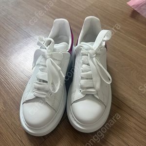 (새상품)알렉산더맥퀸 키즈 스니커즈