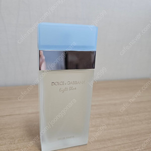 돌체앤가바나 라이트블루 100ml