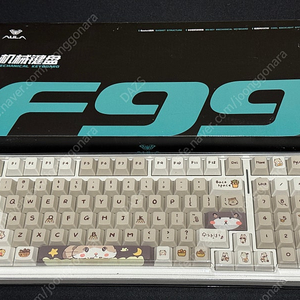 독거미 F99 옐로우축