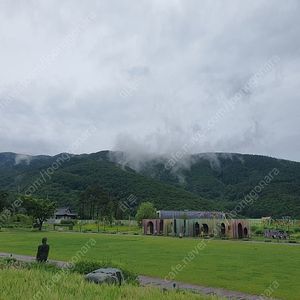 하이원 케이블카 운탄고도케이블카 (2025.10.01)