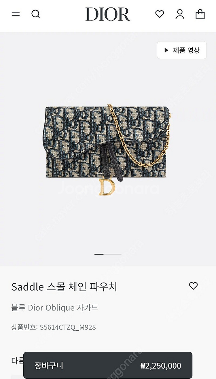 디올 새들 체인--1