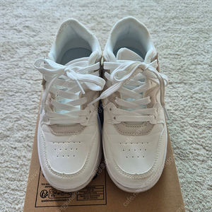 롤러슈즈220
