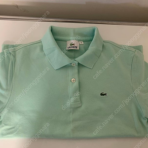 라코스테 여성 카라티 새상품