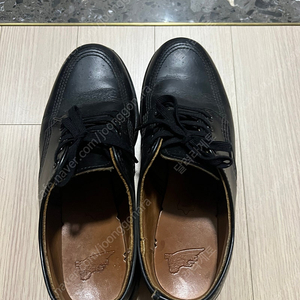 레드윙 redwing 개러지맨 6.5d us