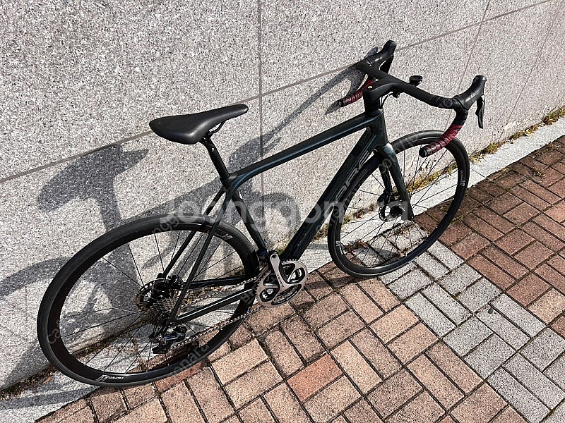 데어 DARE MA 606 (M 170-182)--5