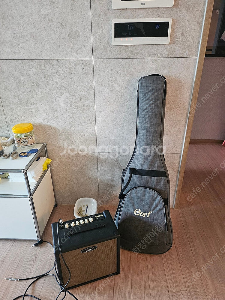 코트 일렉기타 g250--1