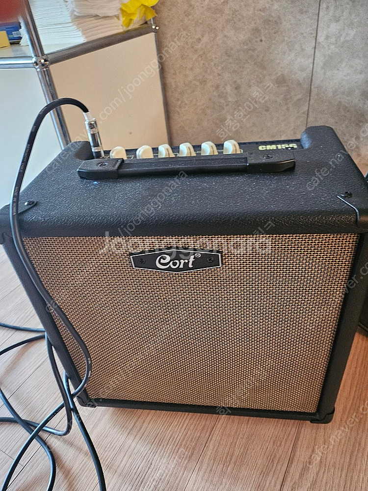 코트 일렉기타 g250--3