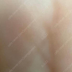 분당포에버적립금 97000원