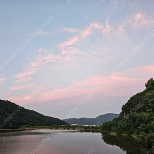 삽니다) 삼양 AF 85mm 1.4 FE 소니마운트