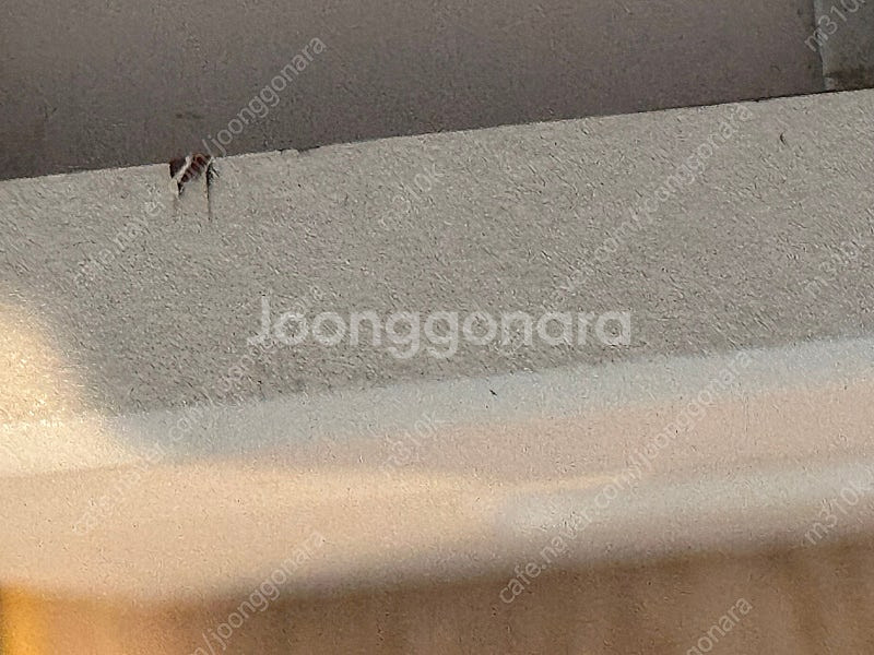 아일랜드식탁--7