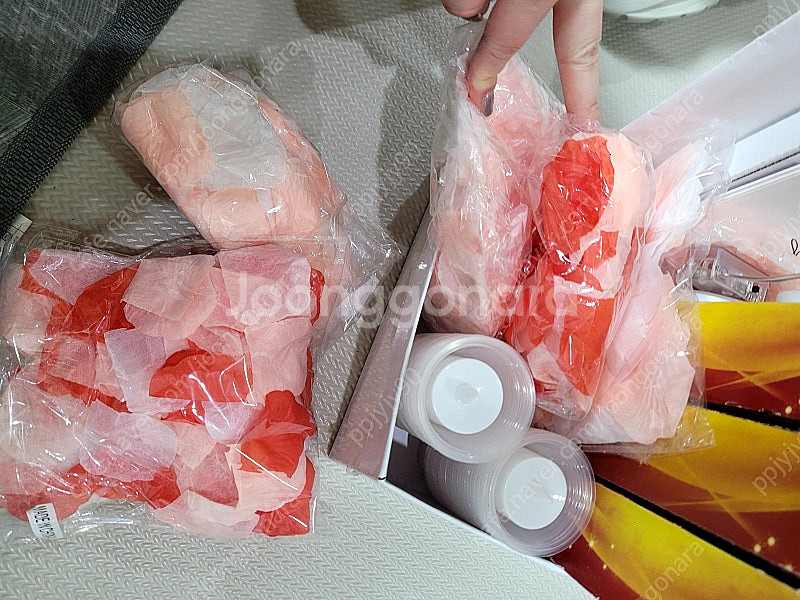 프로포즈세트--0