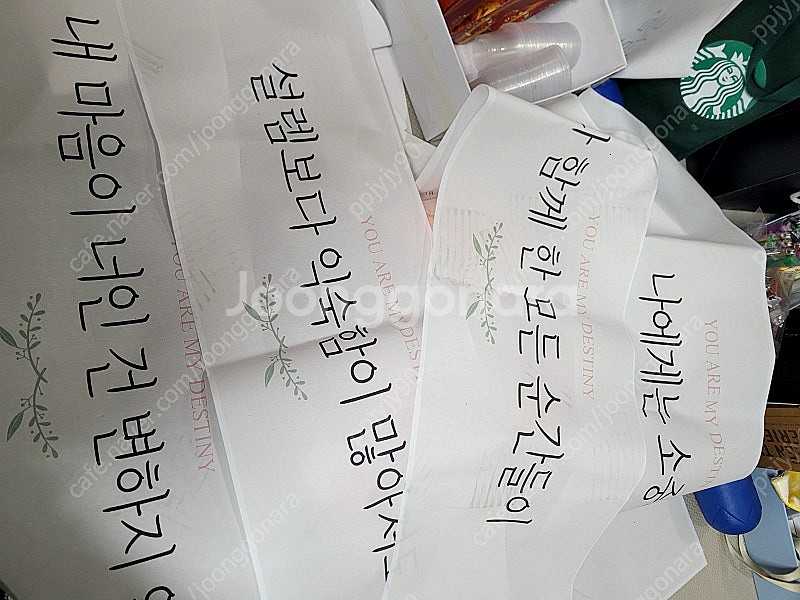 프로포즈세트--9