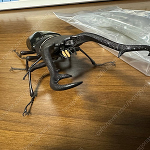 생물대도감 기라파 톱사슴벌레 다이스케 온라인판