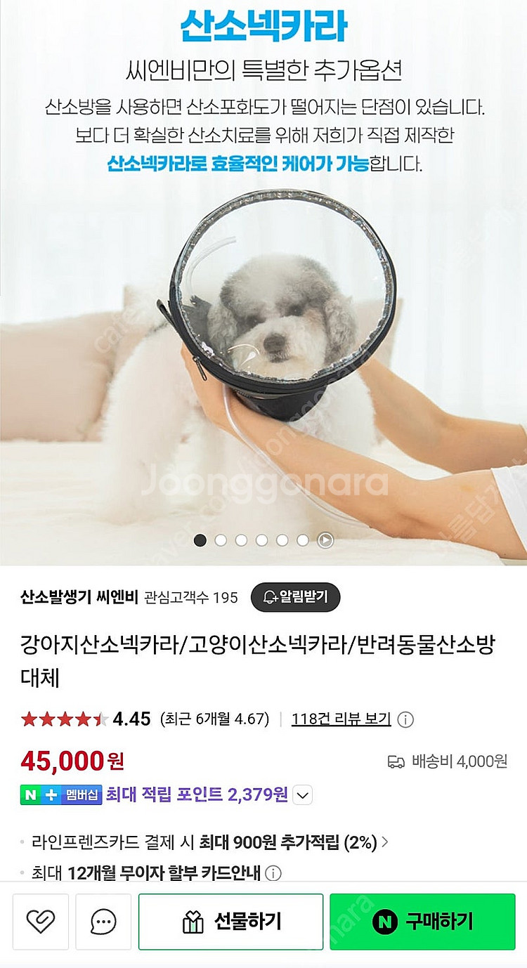 산소방 산소룸 넥카라 강아지 소형 중형 반려동물용--2