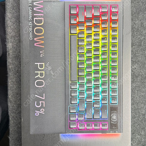 레이저 블랙위도우 v4 75% pro