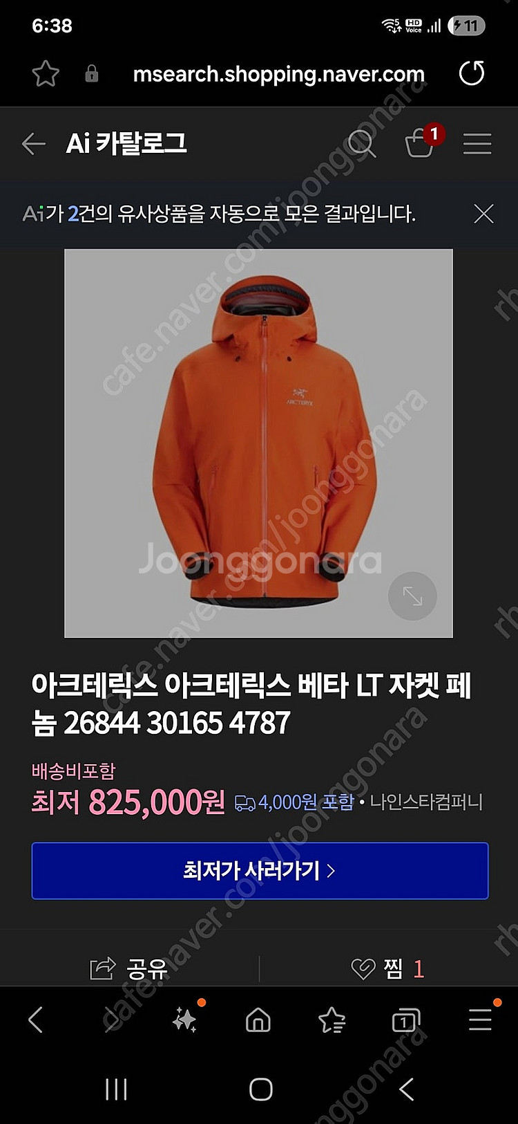 아크테릭스 베타 lt--1