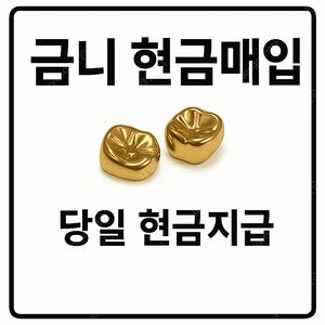 금니 매입합니다.