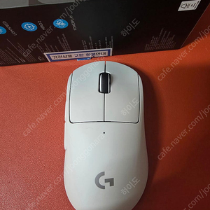 지슈라2 덱스 화이트