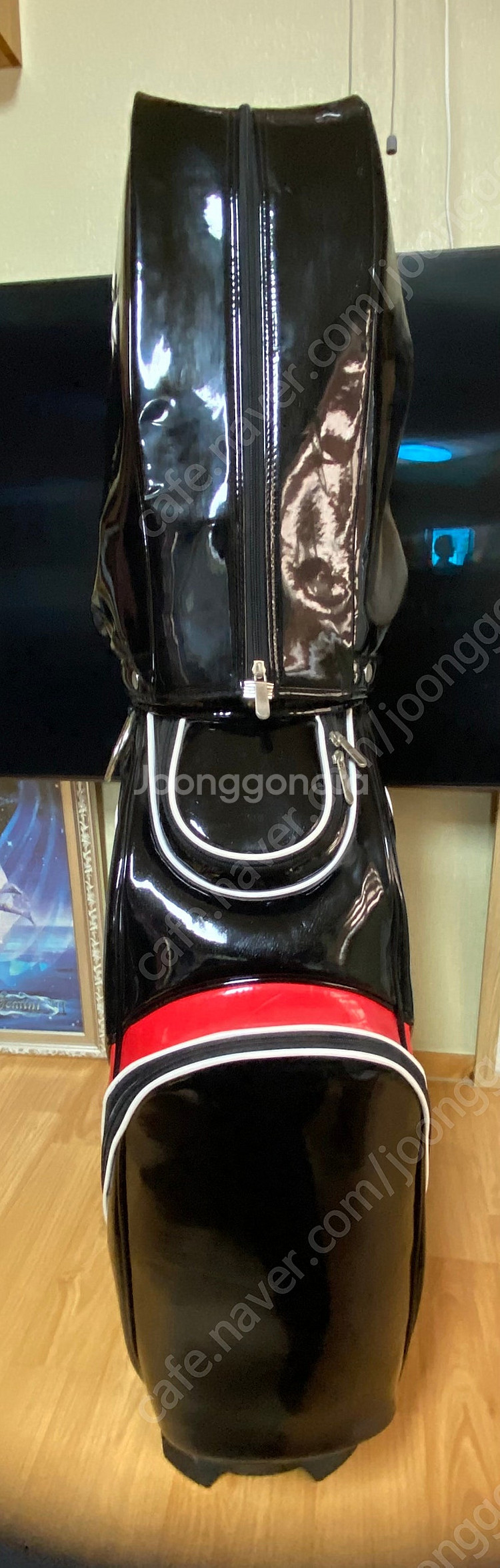 위스텔라 골프채 풀세트 판매합니다(초보자/입문용으로 좋...--3