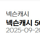 넥슨캐시 50000원