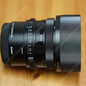 시그마 35mm F2 DG DN 렌즈 (소니 마운트) 판매