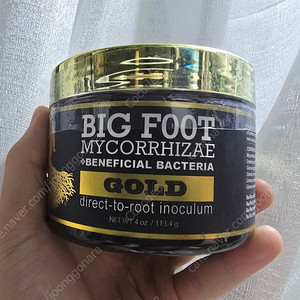 괴근, 다른 식물등의 최상의 미생물제 big foot gold판매