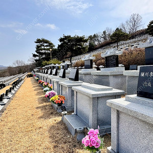 강화 파라다이스 가족묘 12위 양도합니다.
