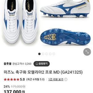미즈노 모렐리아2 프로 md 축구화 265mm