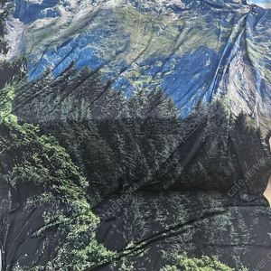 oth, 스위스 패브릭 포스터 쉬폰 커튼 (Switzerland) - 배송비 포함