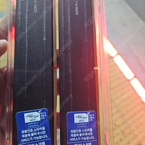 DDR5 16G x 2