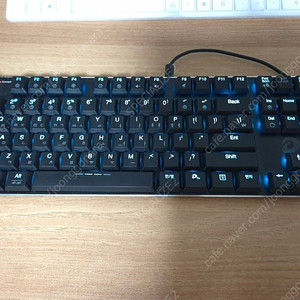 다얼유 EK820 87KEY 키보드