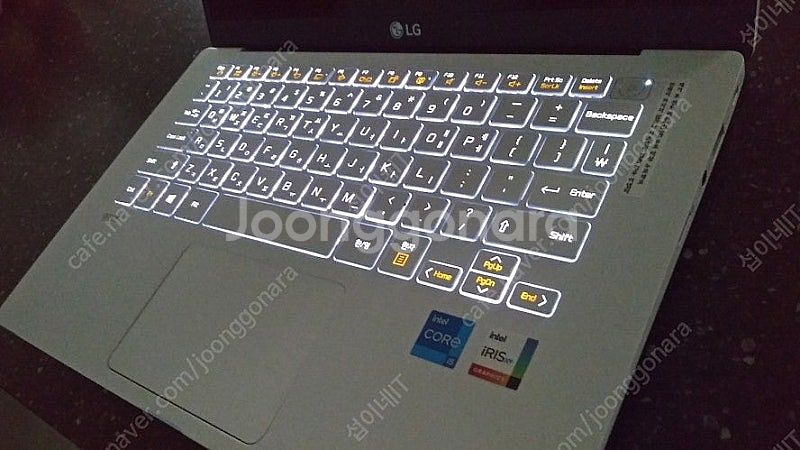 [판매]LG 11세대 올뉴그램 개인 소장용 화이트/램1...--2