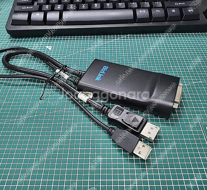 BIZLINK DP to DVI Dual Link--0