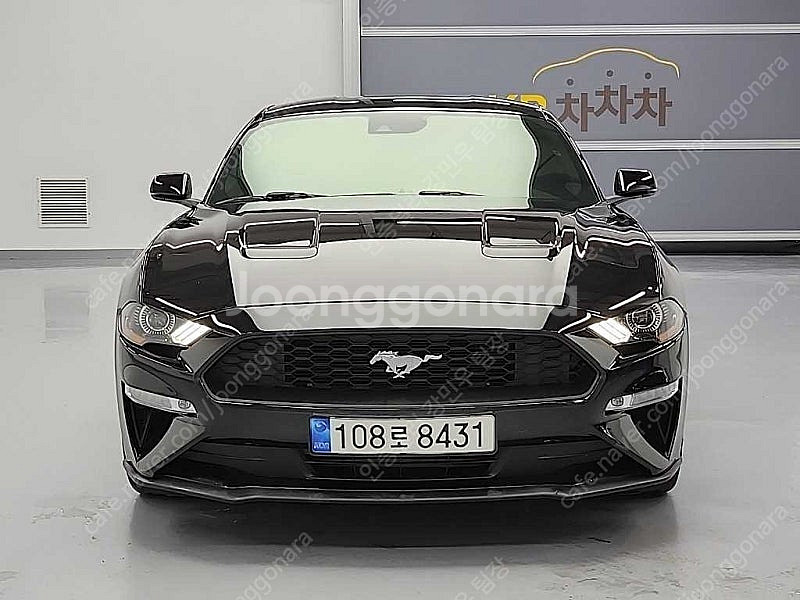 포드 머스탱 중고 머스탱 중고차 2019년식 66,26...--3