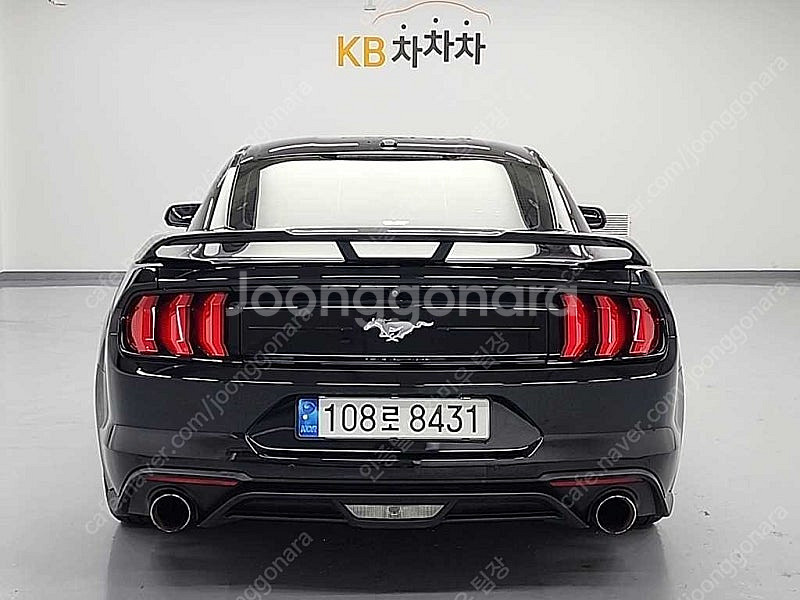 포드 머스탱 중고 머스탱 중고차 2019년식 66,26...--4