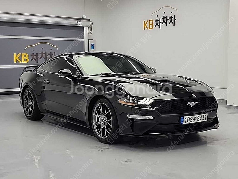 포드 머스탱 중고 머스탱 중고차 2019년식 66,26...--5