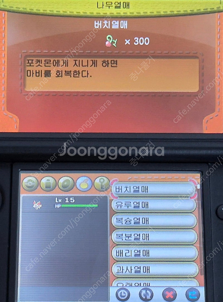[배포 포켓몬 & 이로치 포켓몬] 포켓몬스터 Y 닌텐도...--4